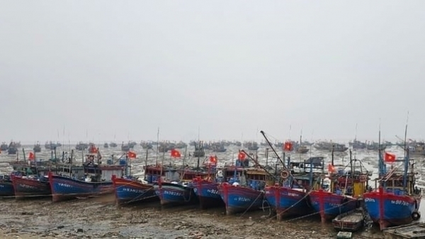 Suggest Thanh Hoa correct weaknesses in implementing the fight against IUU fishing